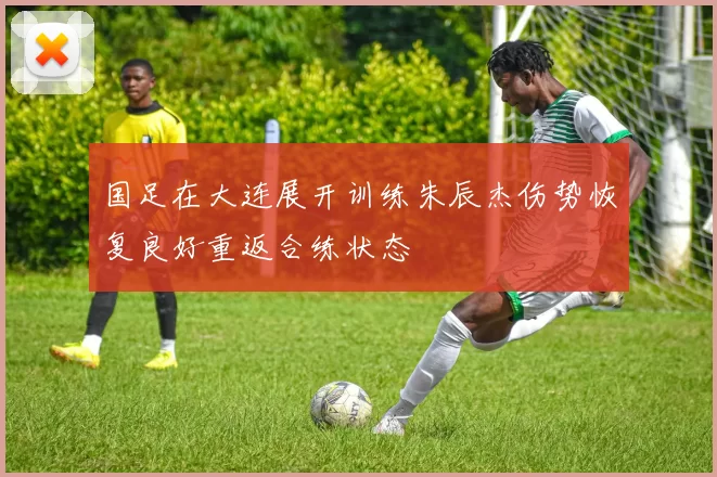 国足在大连展开训练朱辰杰伤势恢复良好重返合练状态